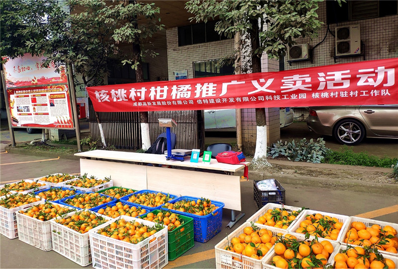 1599012879962039935.jpg image1.jpg